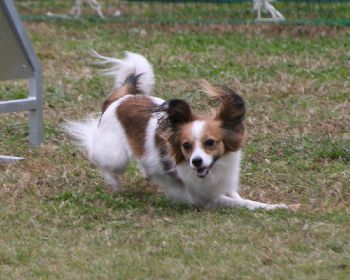 2012111102.jpg