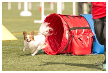 CD_15397_171635_cubeFukui_s0051066.jpg