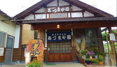 店