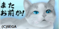 うんざり猫