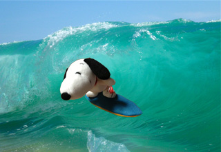 20130106wavesn.jpg