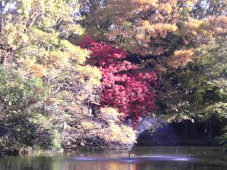 2012/11/20 和田堀公園