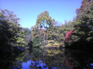 2012/11/20 和田堀公園