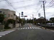 P1000668.jpg