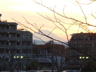 P1000871.jpg