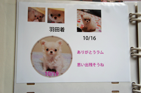 20120918-2.gif
