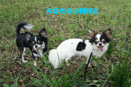 20120929-2.gif