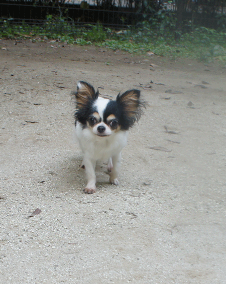 20120930-2.gif