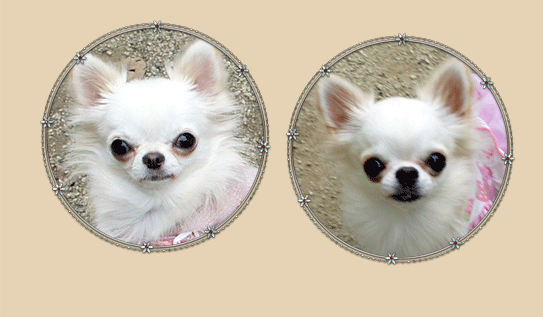 20121017-10.gif