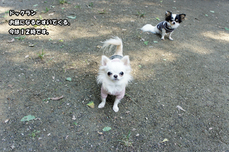 20121020-3.gif