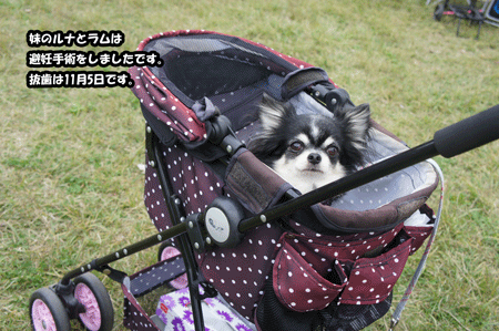 20121027-2.gif