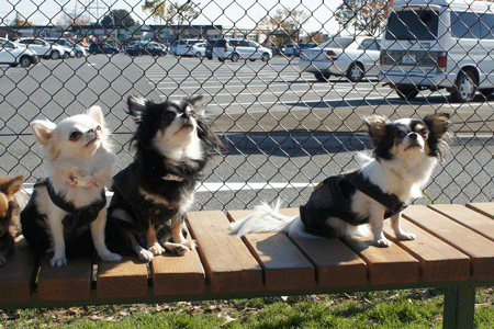 20121125-100.gif