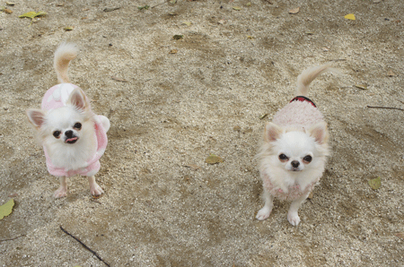 20121128-54.gif