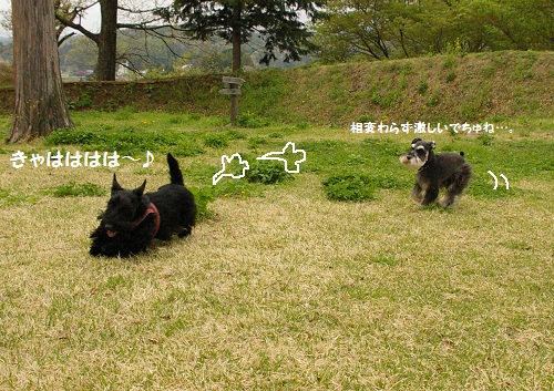 2012年5月☆清里 -1&2日目- (31)