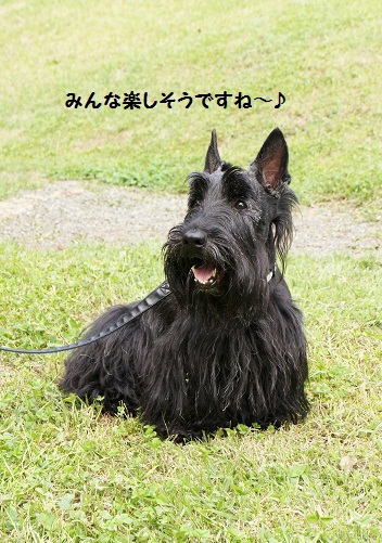 2012年6月☆伊豆 -1日目- (19)