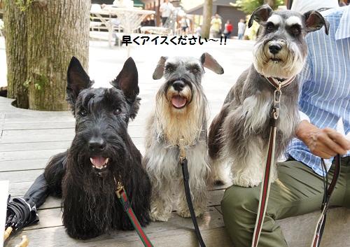 2012年7月☆軽井沢 -2日目- (13)
