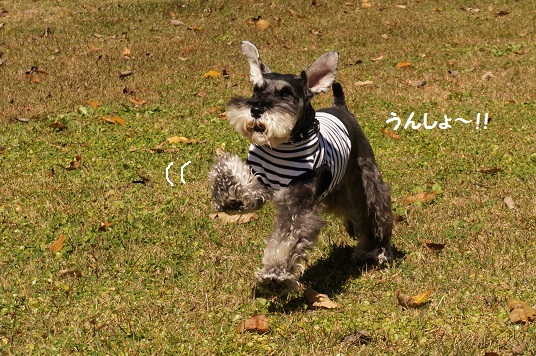 2012年10月②☆軽井沢 -2日目- (17)