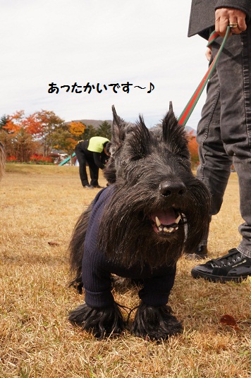2012年10月☆軽井沢② -3日目- (16)