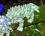 ハティーさん近影