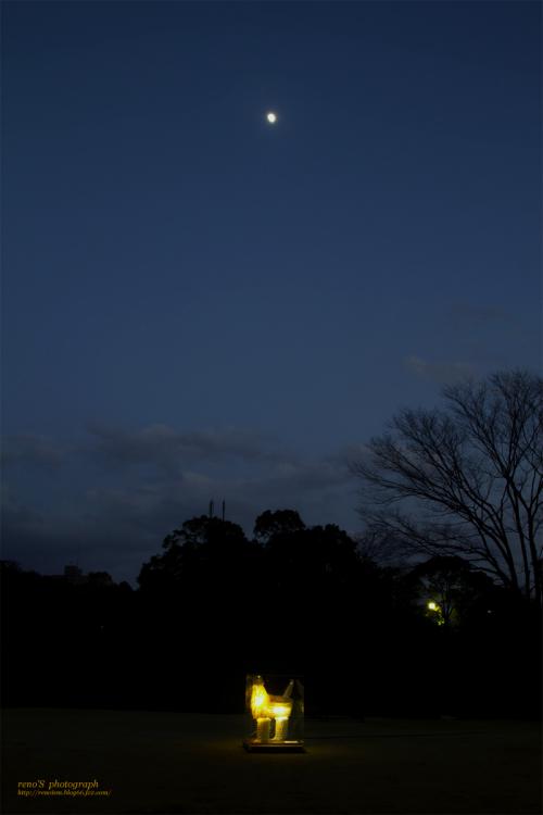 20121223_7D_349.jpg