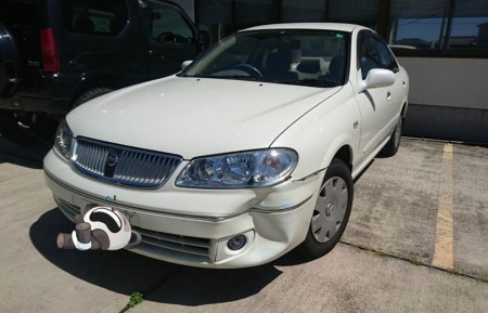 WSS000408.jpg