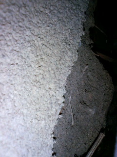 moblog_8699cd60.jpg