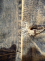1960's LEVI'S 559XX(3rd ブランケット付き)