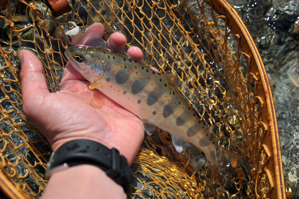 20130427-007-2.jpg