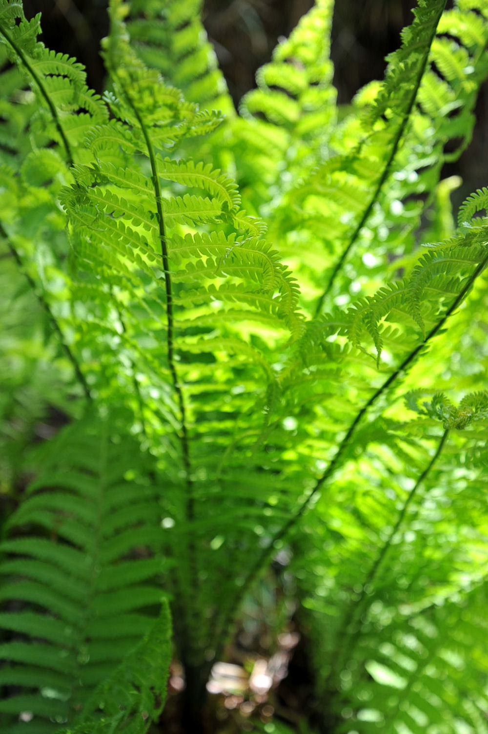20130428-036.jpg
