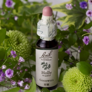 holly.jpg