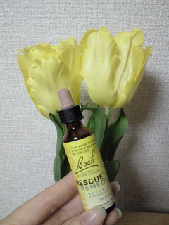 moblog_0a3613e7.jpg