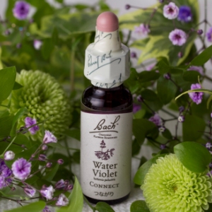 waterviolet.jpg