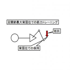 足関節最大背屈位でのトレーニング ブログ用