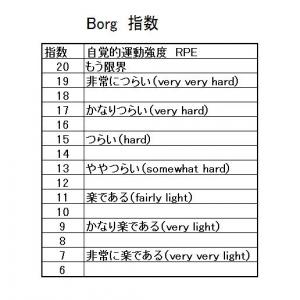 Borg指数 ブログ用