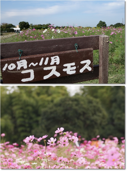 和泉環境リサイクル公園