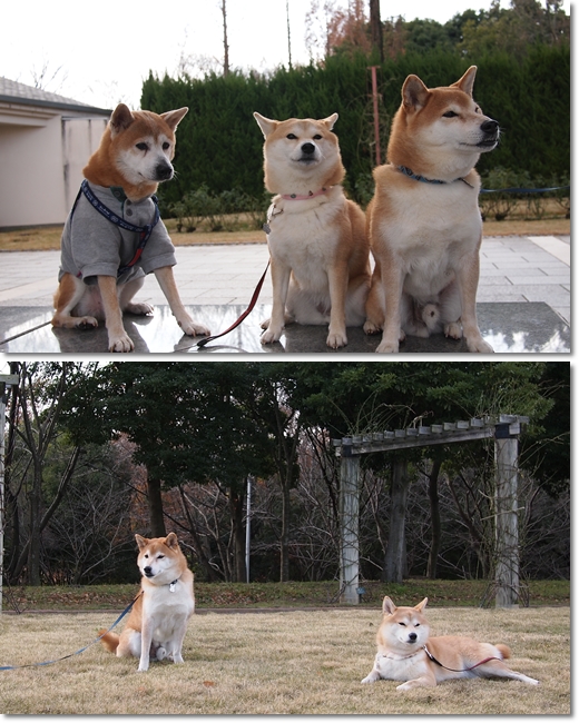 蜻蛉池公園