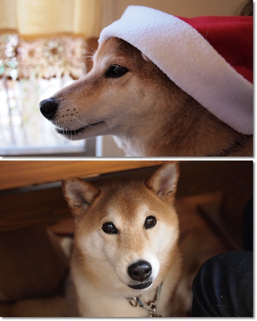クリスマス会