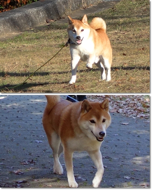 光明池