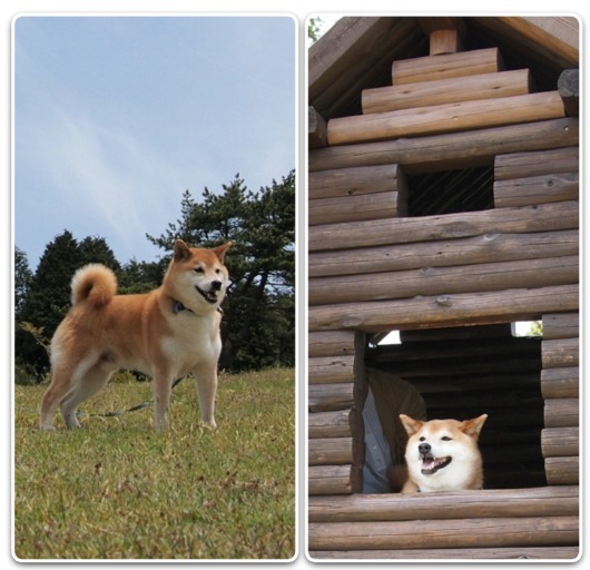 六甲山カンツリーハウス