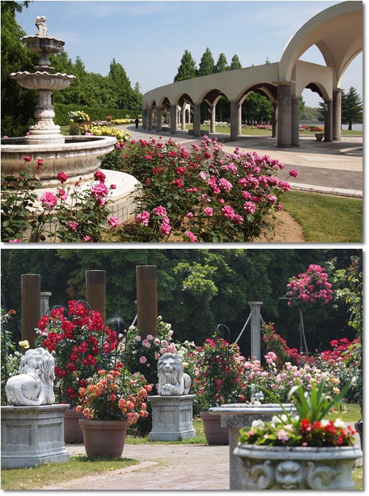 とんぼ池公園