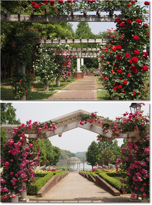 とんぼ池公園