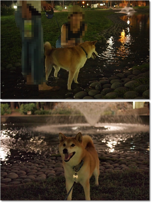 靭公園