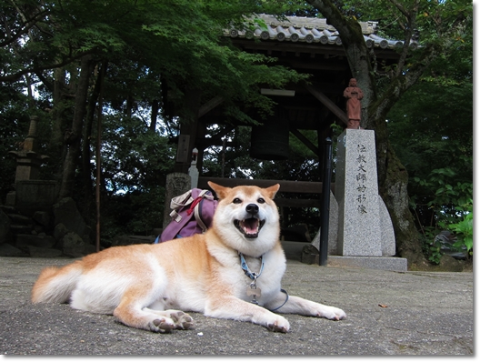 松尾寺