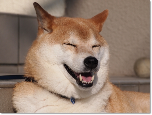 おうちの玄関で