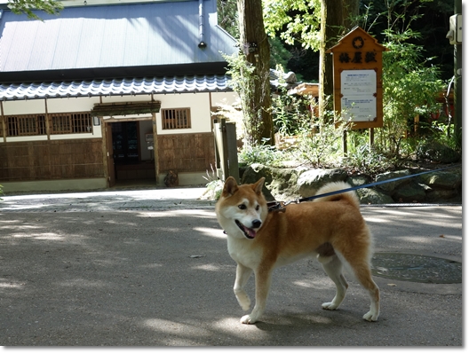 箕面