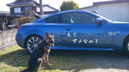 納車2