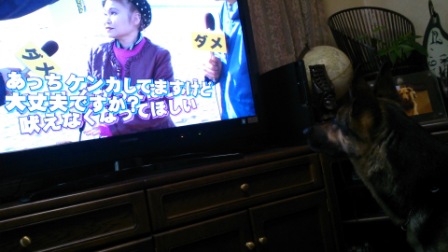 お勉強?
