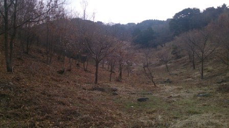 山登り3