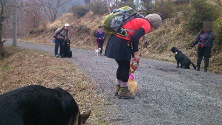 山登り4