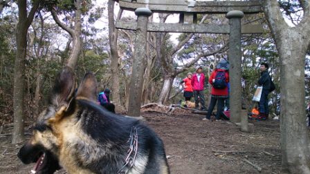 山登り17